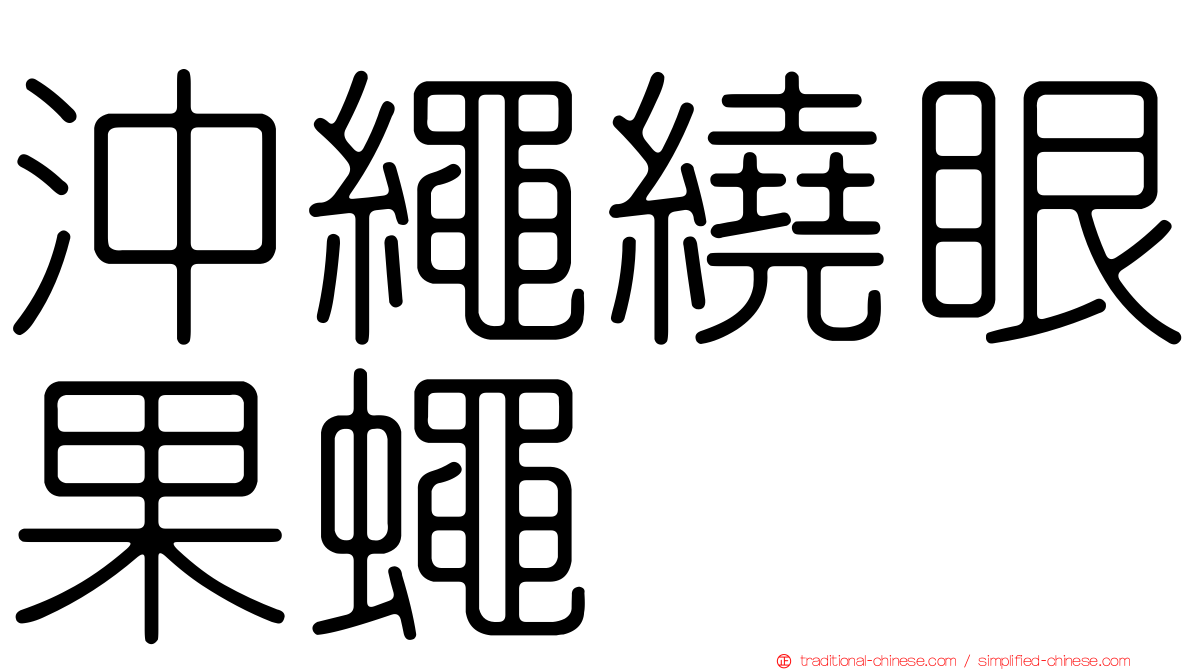 沖繩繞眼果蠅