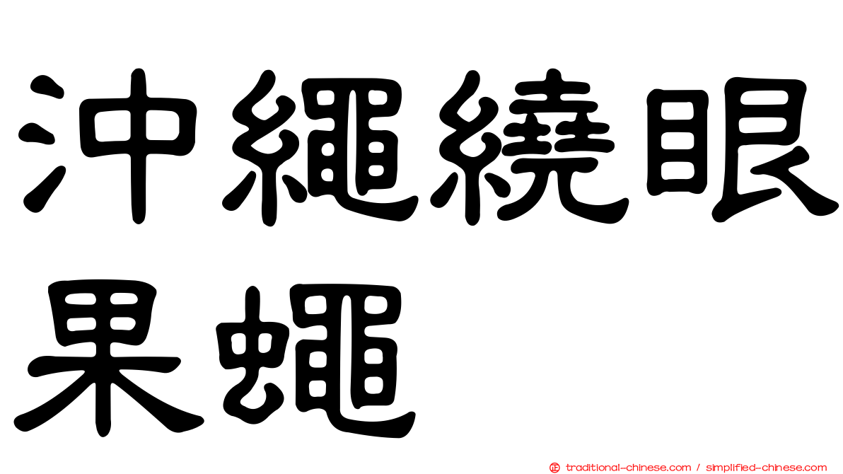 沖繩繞眼果蠅