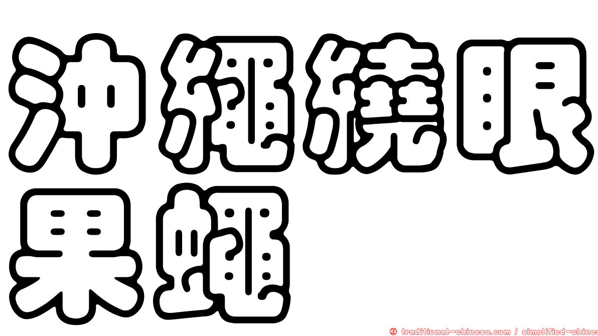 沖繩繞眼果蠅