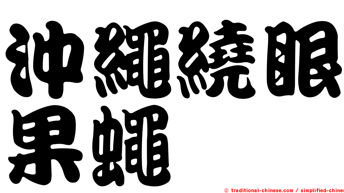 沖繩繞眼果蠅
