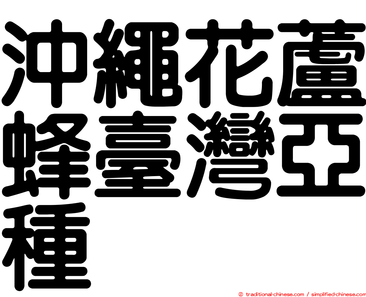 沖繩花蘆蜂臺灣亞種
