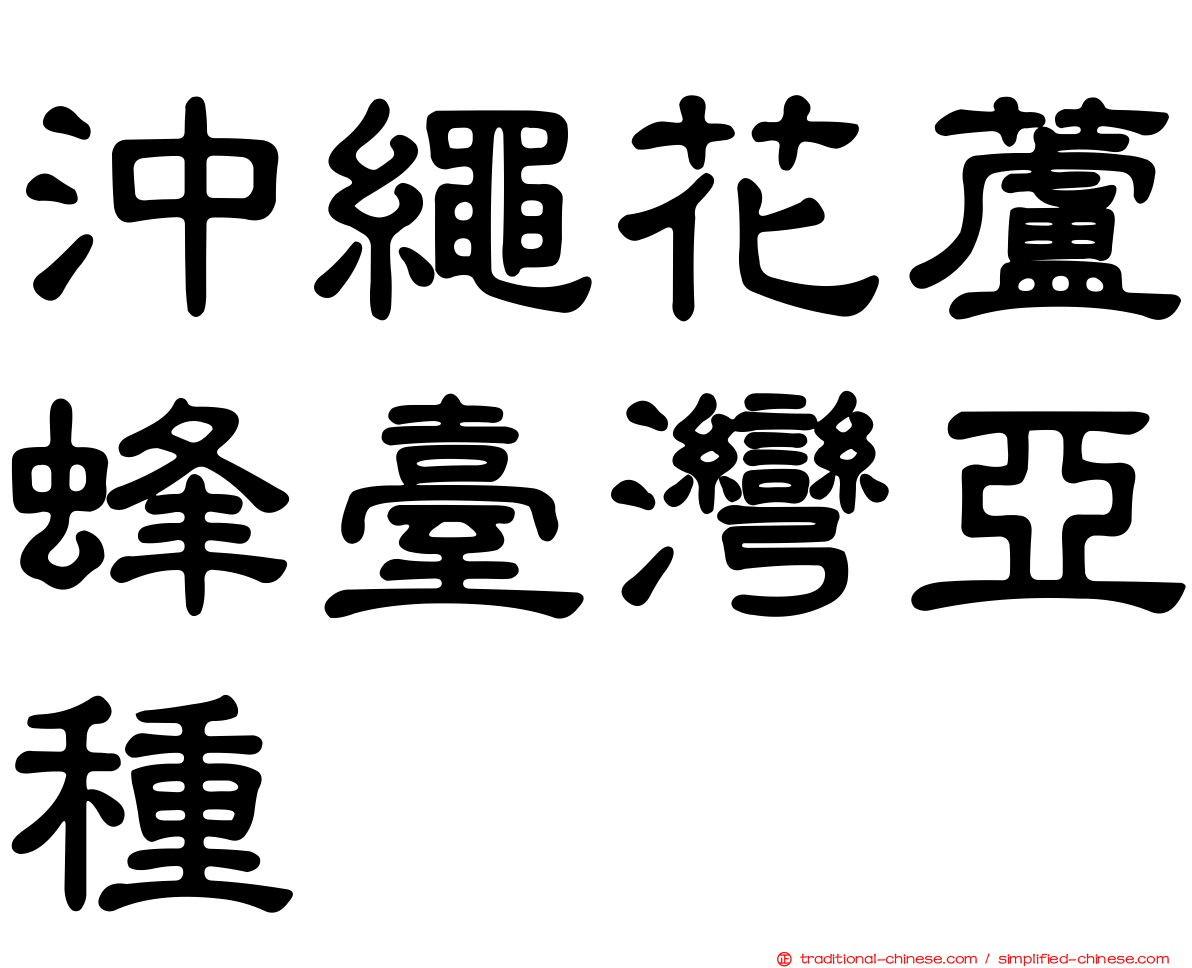 沖繩花蘆蜂臺灣亞種