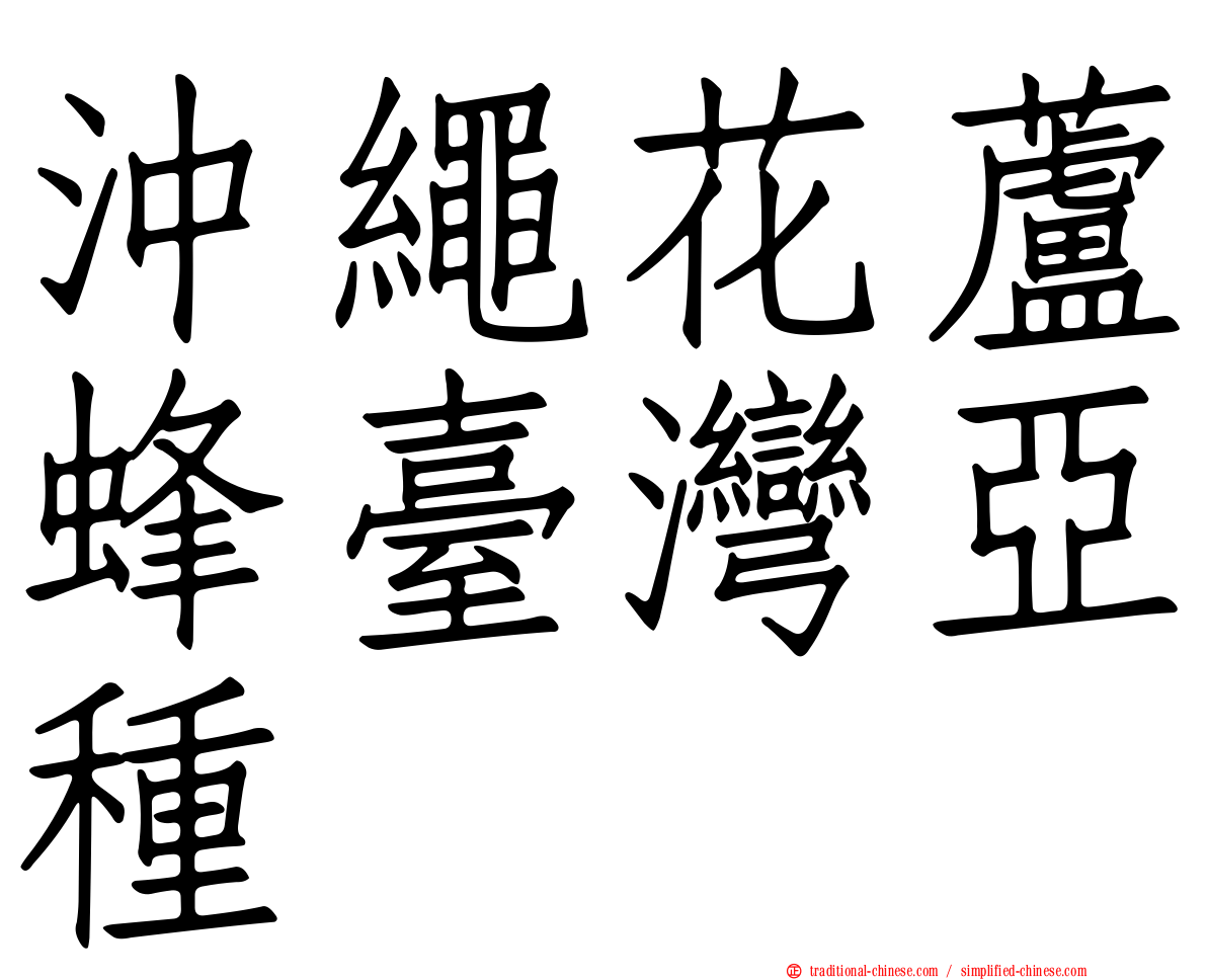 沖繩花蘆蜂臺灣亞種