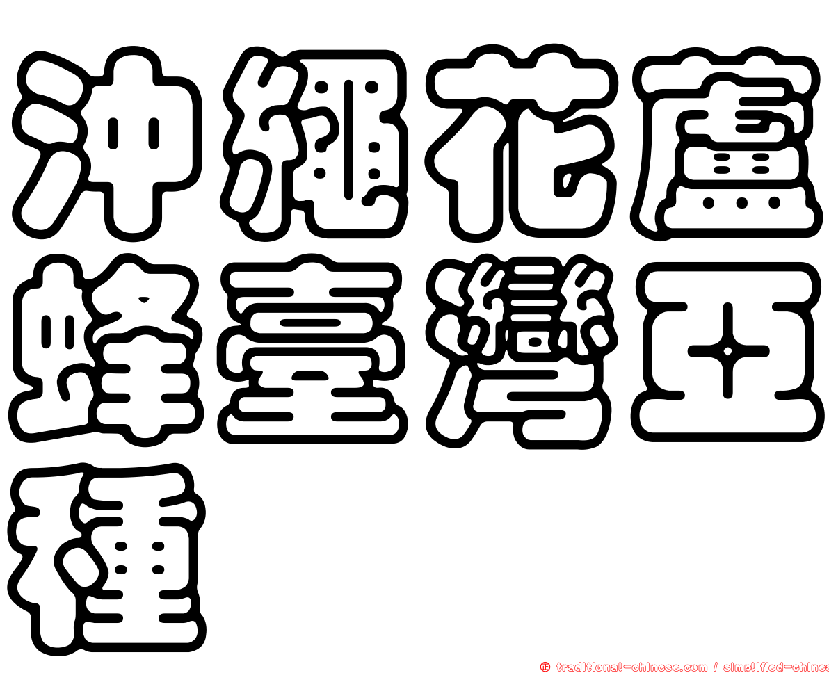 沖繩花蘆蜂臺灣亞種