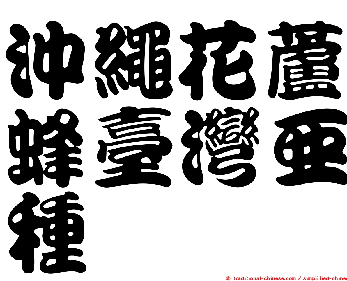 沖繩花蘆蜂臺灣亞種