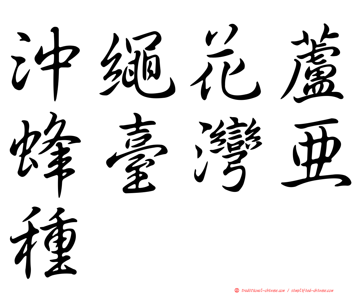 沖繩花蘆蜂臺灣亞種