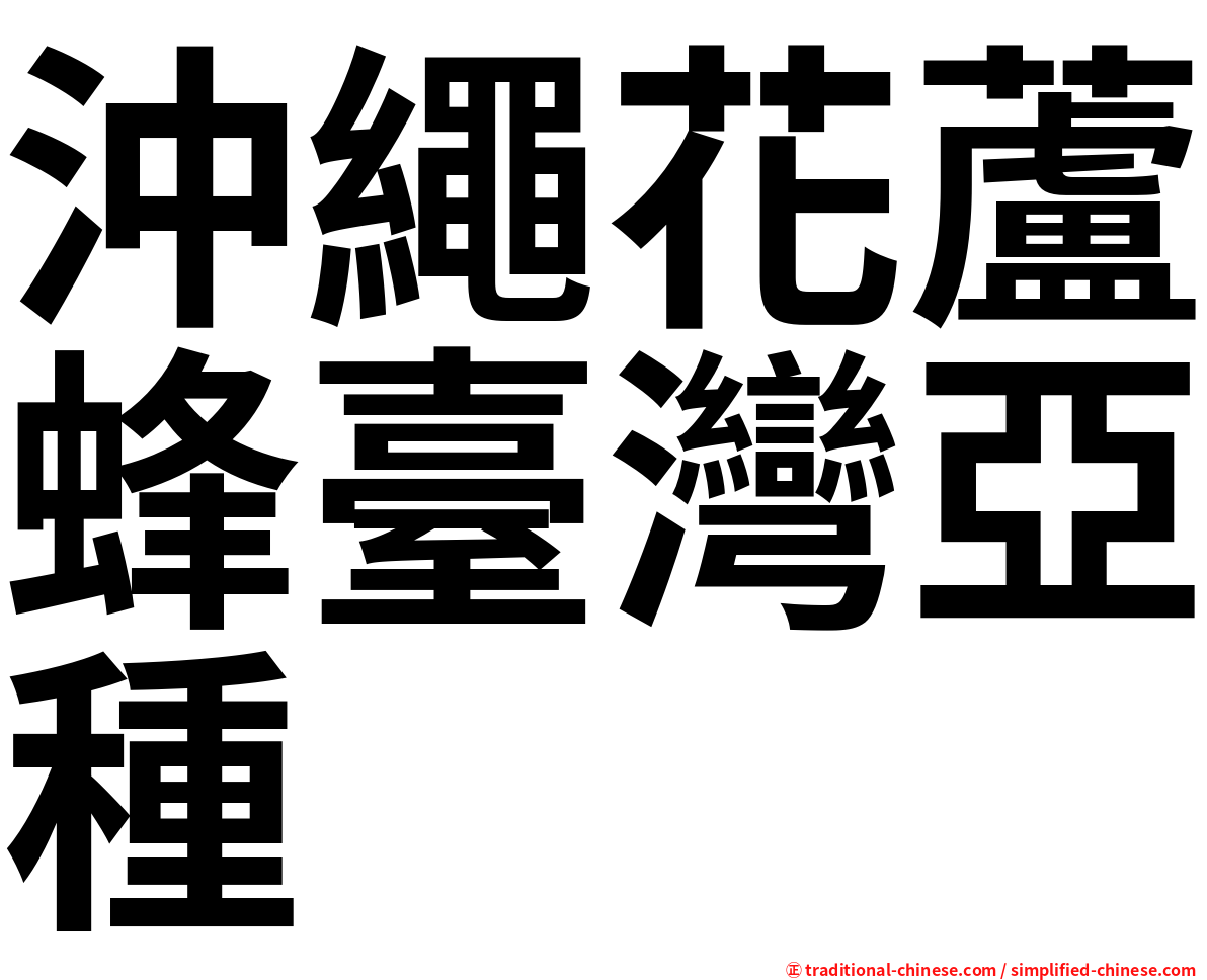 沖繩花蘆蜂臺灣亞種