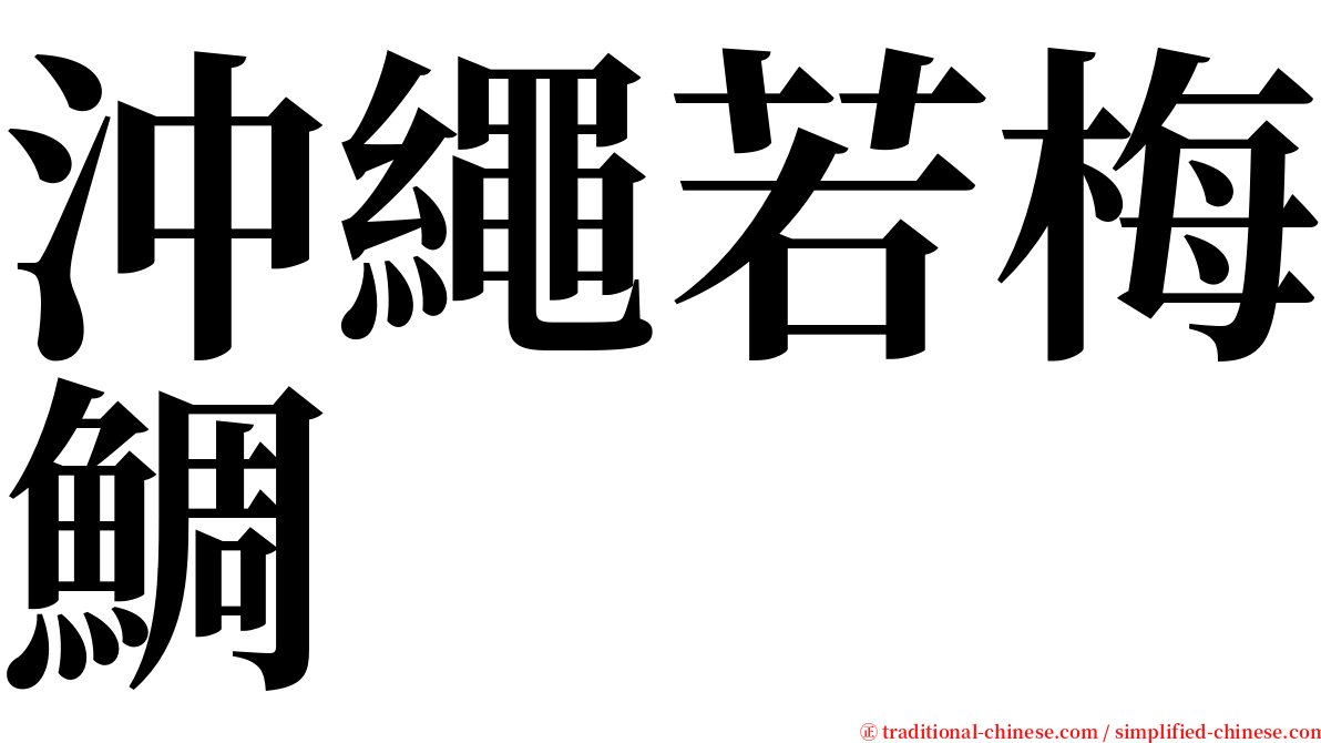 沖繩若梅鯛 serif font