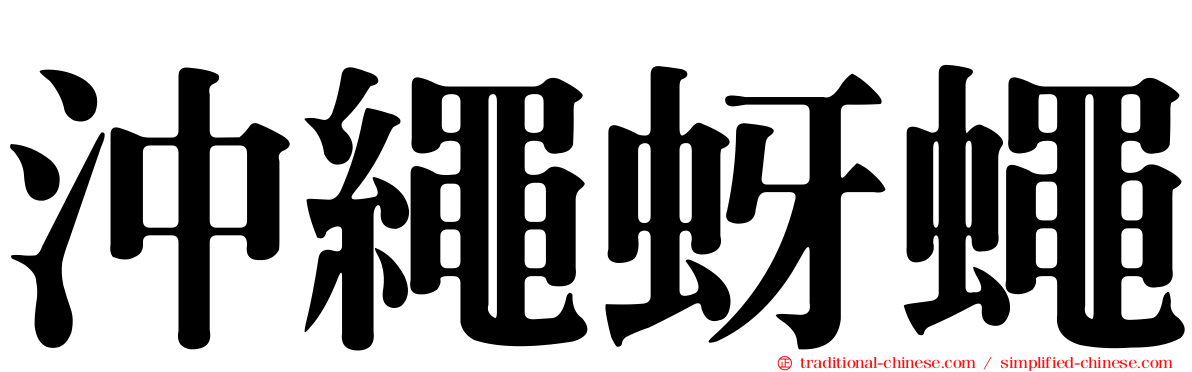 沖繩蚜蠅