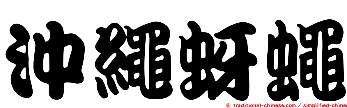 沖繩蚜蠅