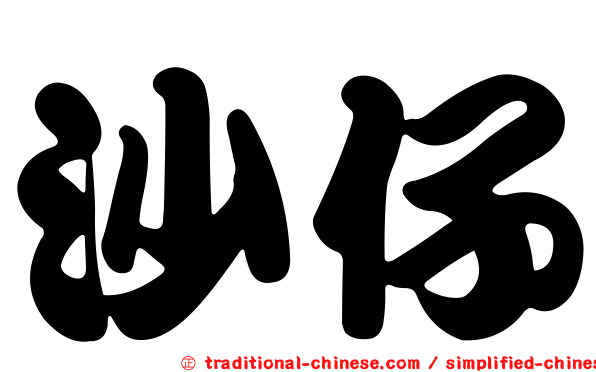 沙仔