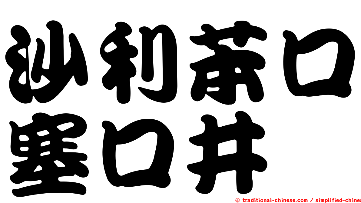 沙利苯口塞口井