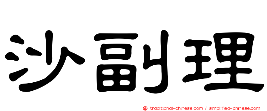 沙副理