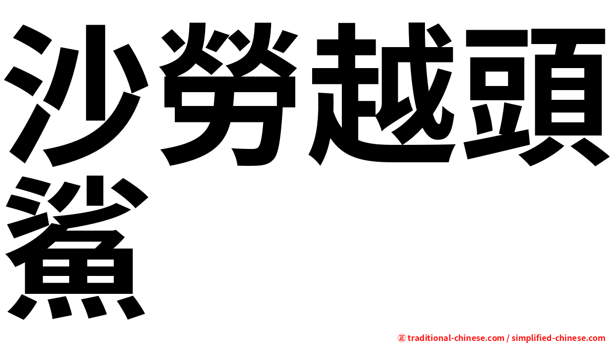 沙勞越頭鯊