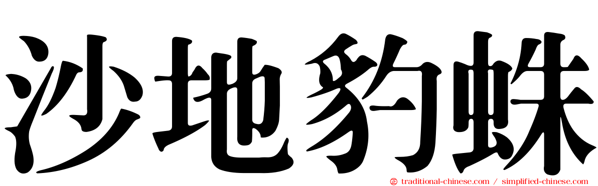 沙地豹蛛