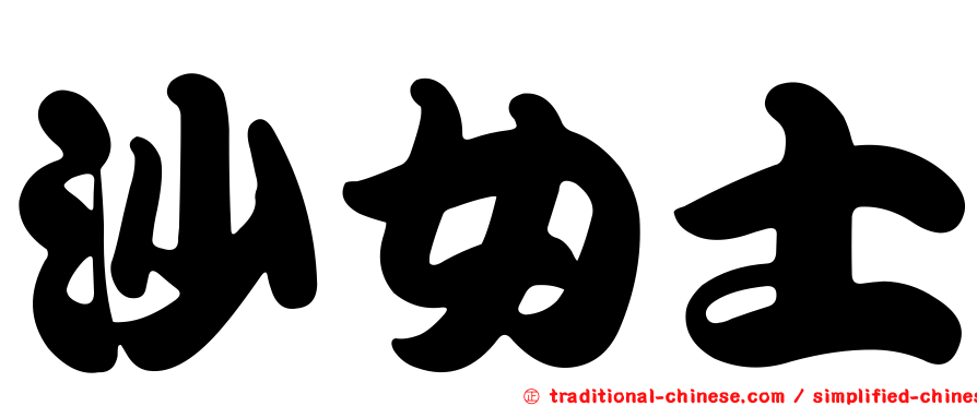沙女士