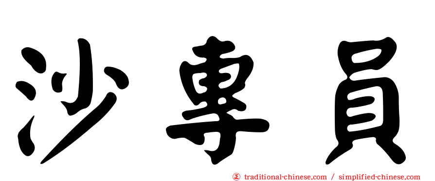 沙專員