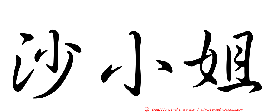 沙小姐