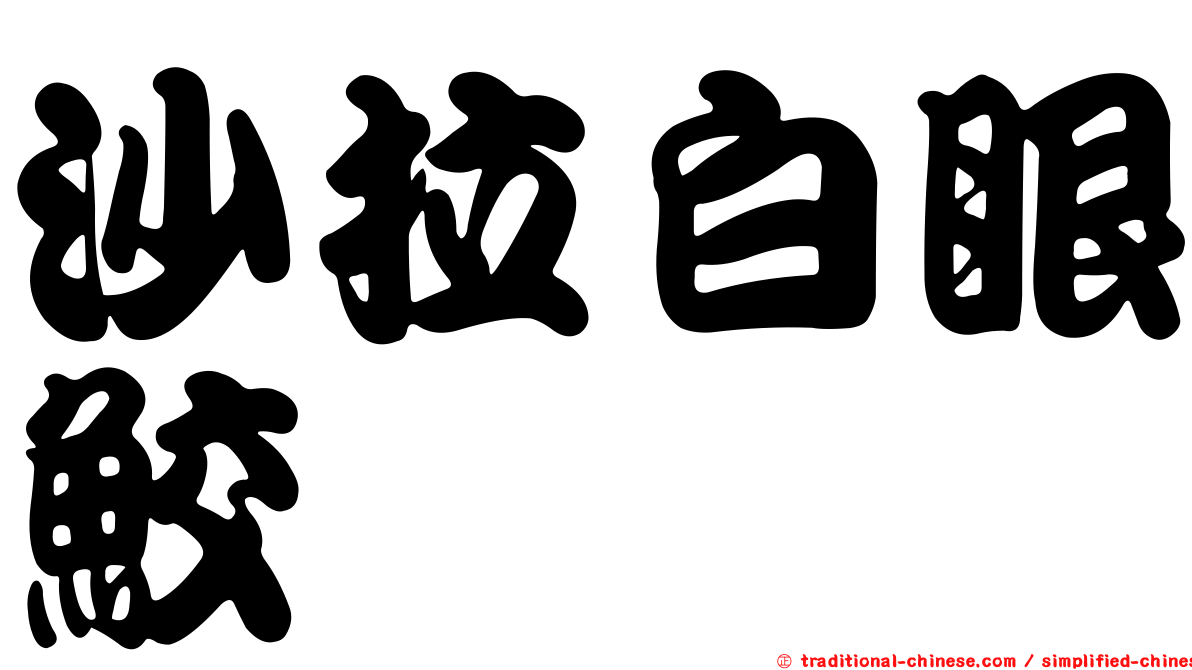 沙拉白眼鮫