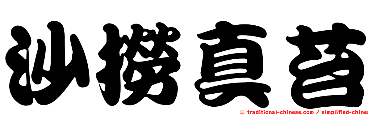 沙撈真苔