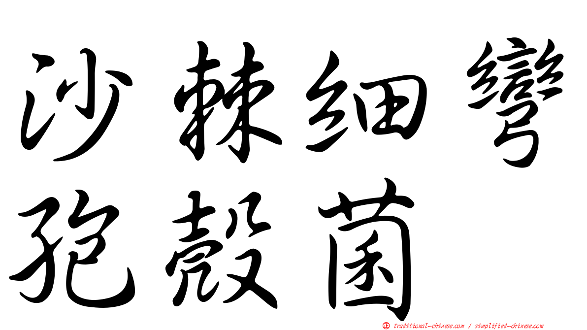 沙棘細彎孢殼菌