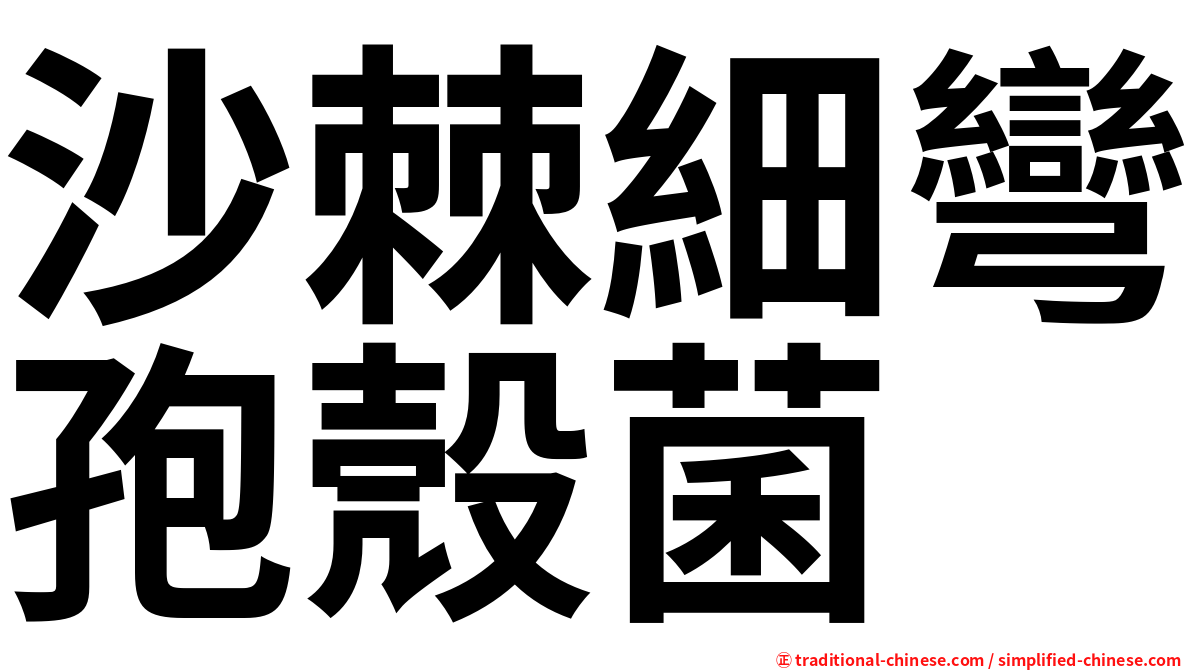 沙棘細彎孢殼菌