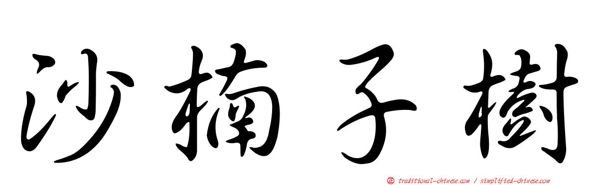 沙楠子樹