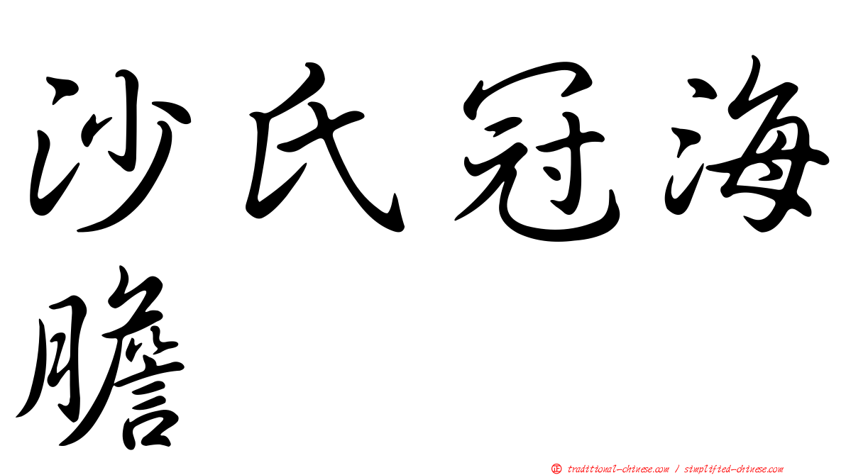 沙氏冠海膽
