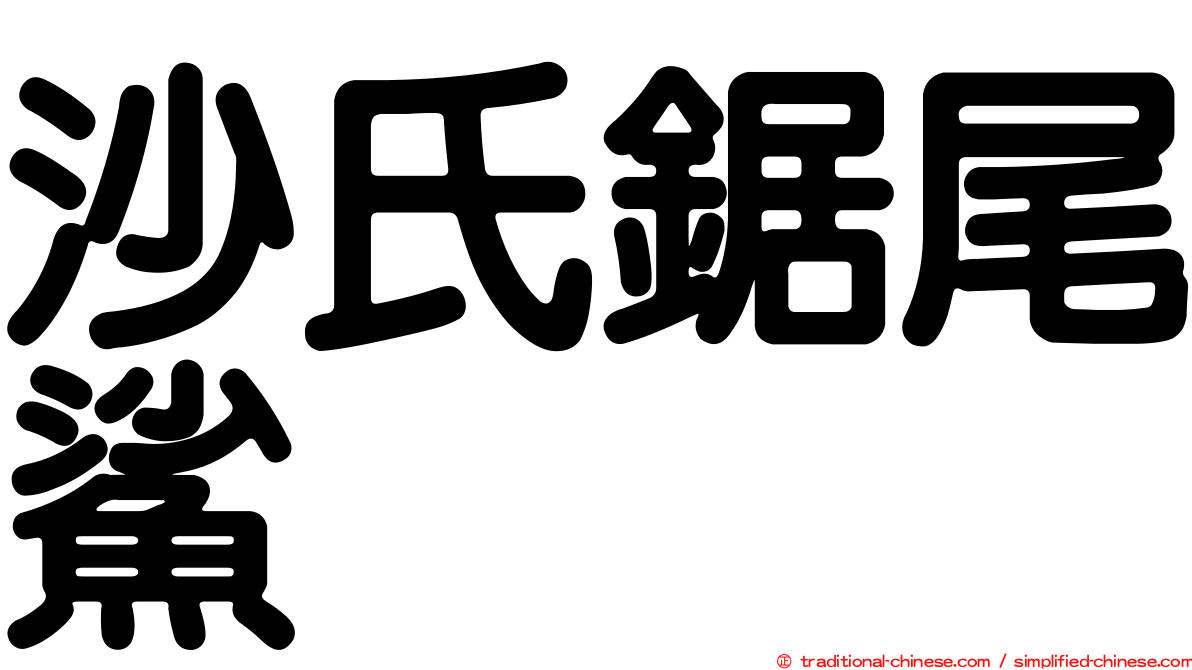 沙氏鋸尾鯊