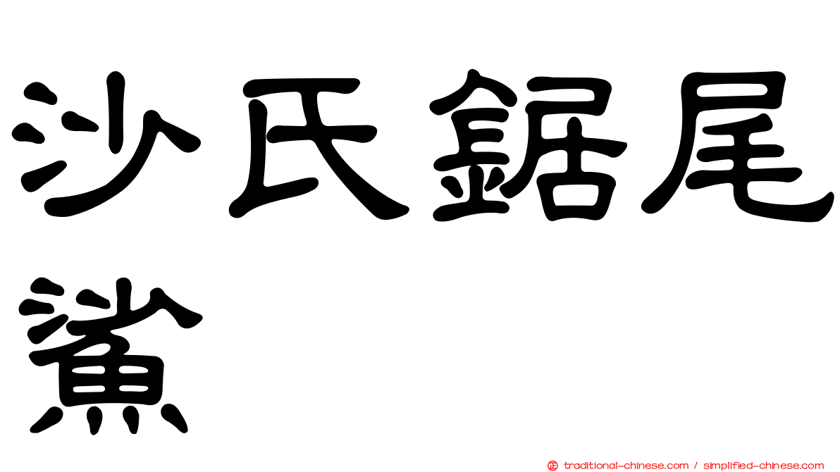 沙氏鋸尾鯊