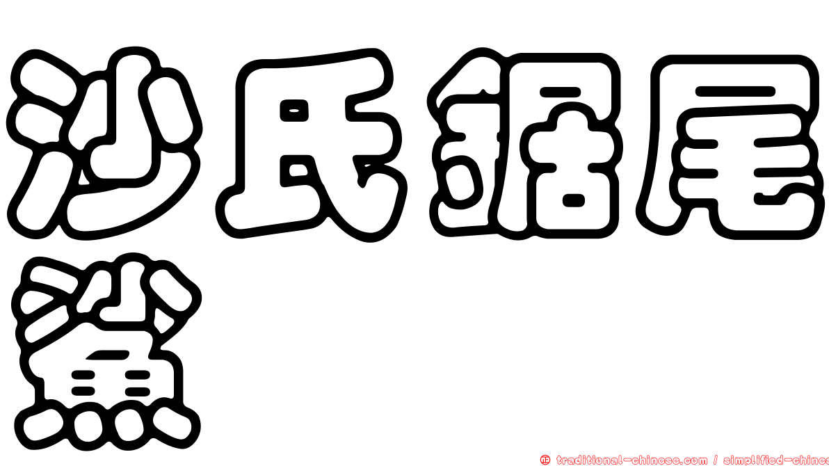 沙氏鋸尾鯊