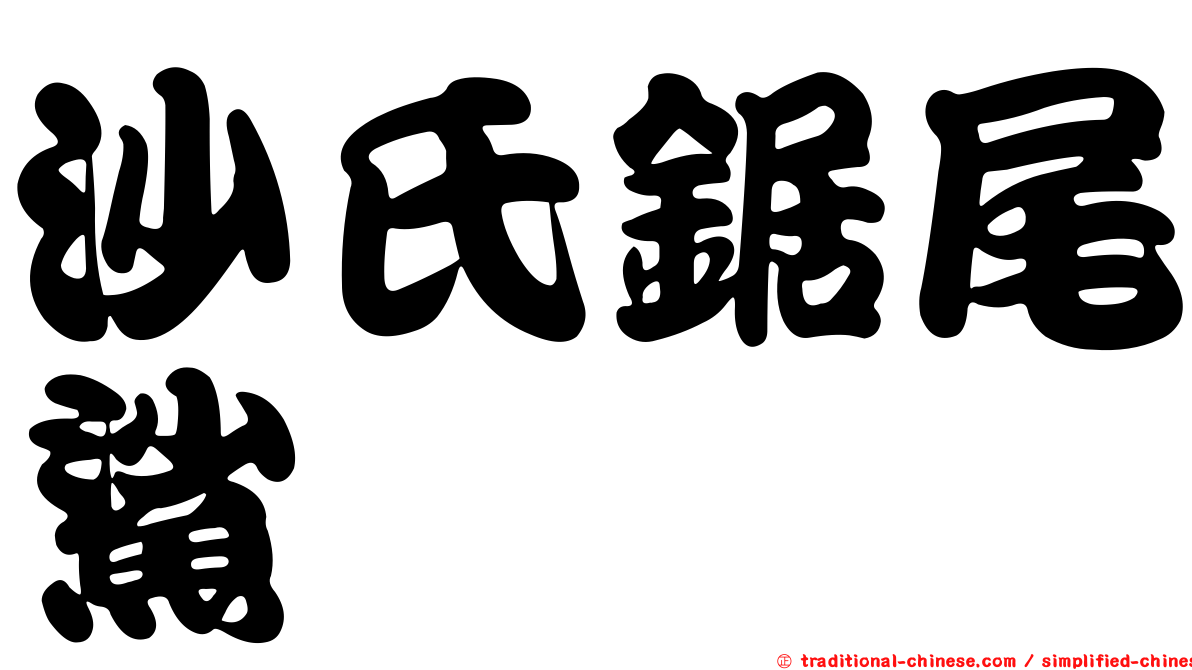 沙氏鋸尾鯊