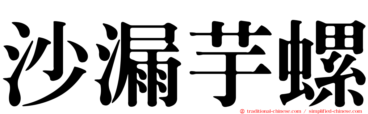 沙漏芋螺