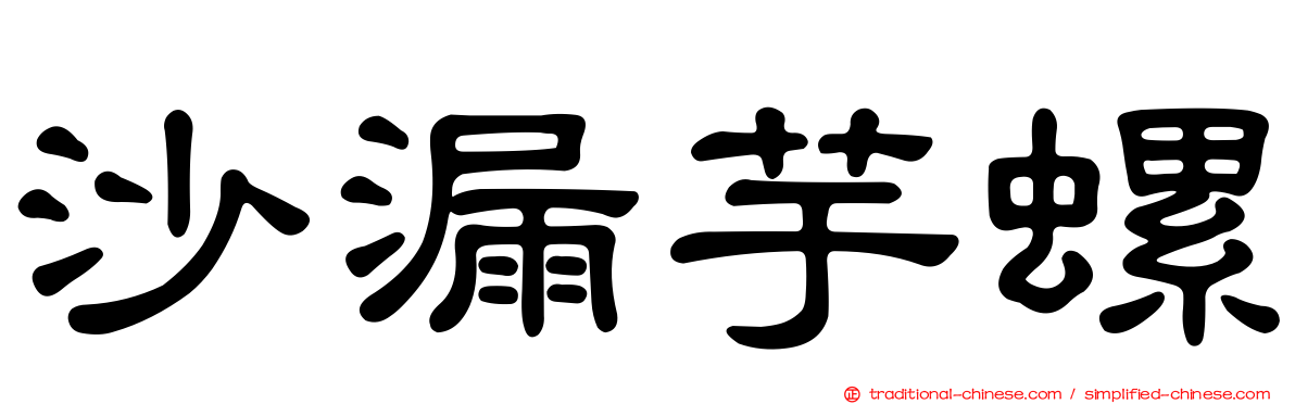 沙漏芋螺