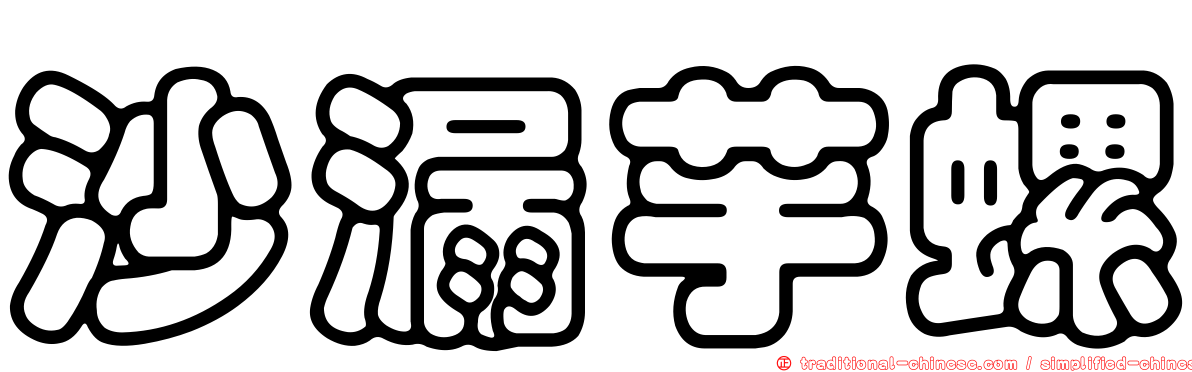 沙漏芋螺