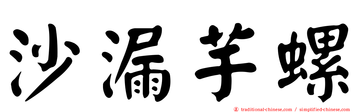 沙漏芋螺