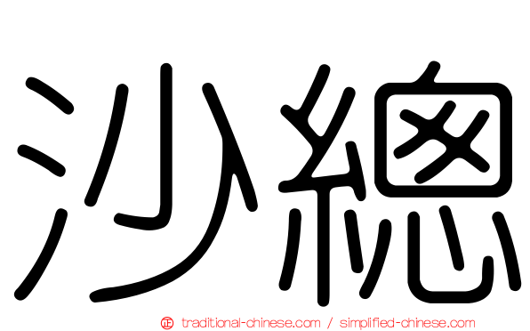 沙總