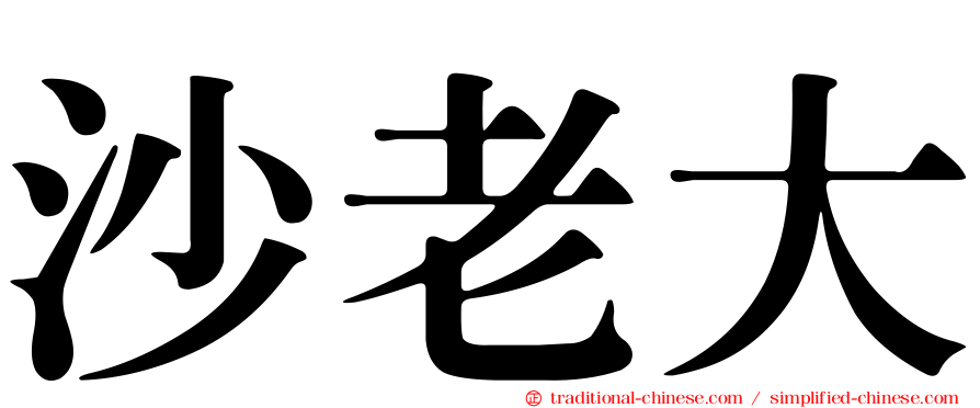 沙老大