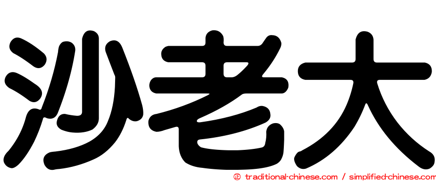 沙老大