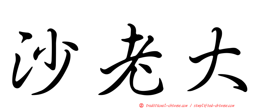 沙老大