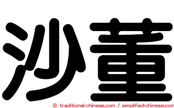 沙董