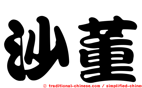 沙董