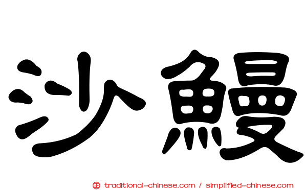 沙鰻