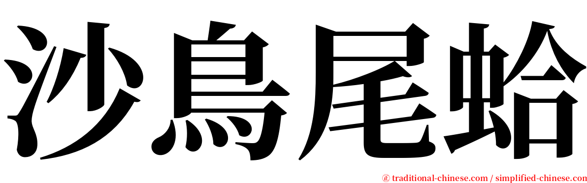 沙鳥尾蛤 serif font