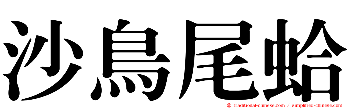 沙鳥尾蛤
