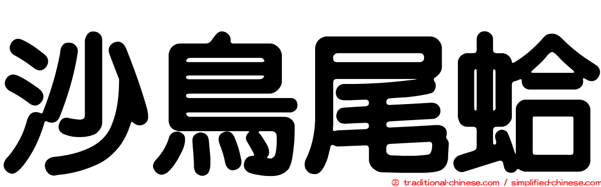沙鳥尾蛤