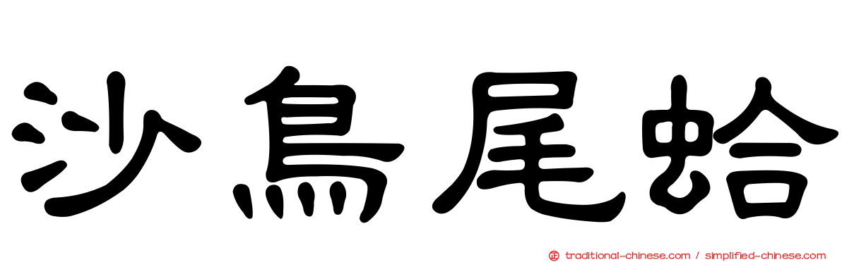 沙鳥尾蛤