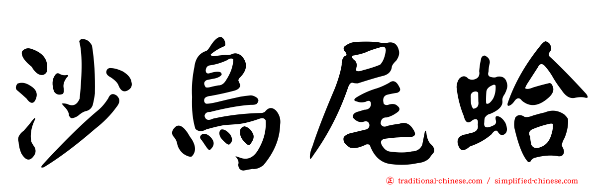 沙鳥尾蛤