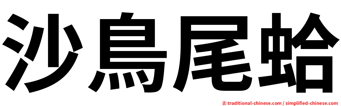 沙鳥尾蛤