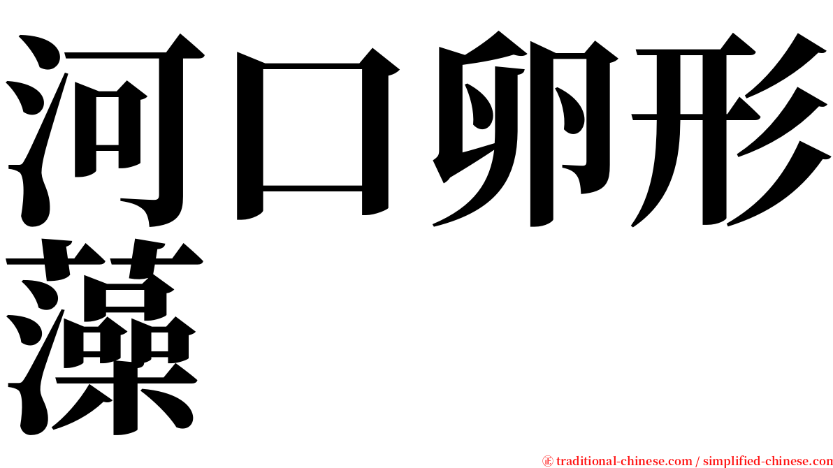 河口卵形藻 serif font